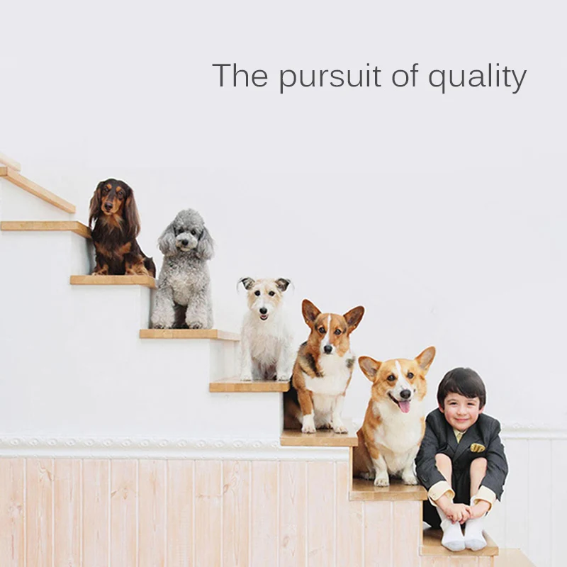 HTB1nSgNbjvuK1Rjy0Faq6x2aVXag