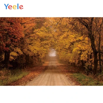 

Autumn Forest Tree Road Nature Scenery Scene Baby Portrait Backdrop Photography Background For Photo Studio Photophone Booth