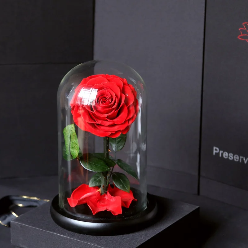 Красавица и Чудовище Роза в стеклянном куполе, навсегда Роза, красная роза, консервированные цветы розы, особый романтический подарок с коробкой