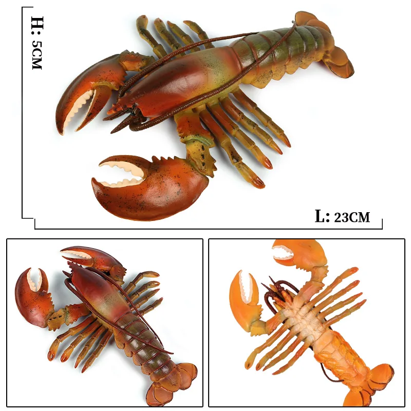 Oenux Моделирование большой размер Морская жизнь Langouste Омаров животные модель океан животное Бостонский Омаров Фигурки игрушки детский