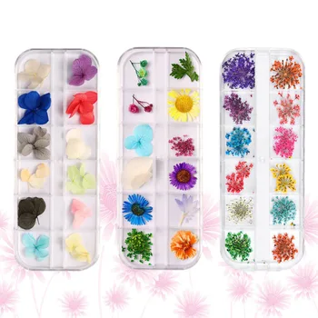 

3 Box 72Pcs Nice Novel Chic Daisies Manicure Accessories Nail Art Stickers