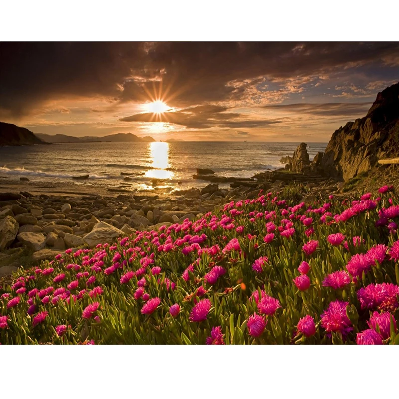 HTB1kqmjSrPpK1RjSZFFq6y5PpXah