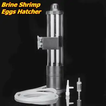 

380ML Aquarium Fish Brine Shrimp Hatcher Incubator Artemia Eggs Hatchery Kits for Hatching All Dry Frozing Shrimp Eggs
