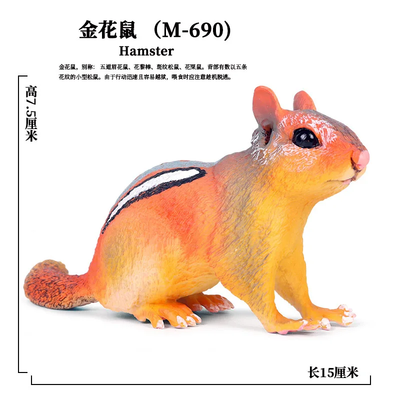 Детская сплошная модель диких животных грызунов модель Marmot mouse Chipmunks игрушка украшение гаражный комплект