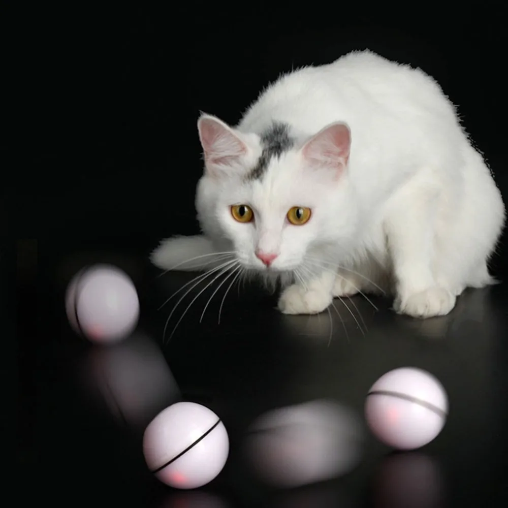 CP71401-C-19120705-1