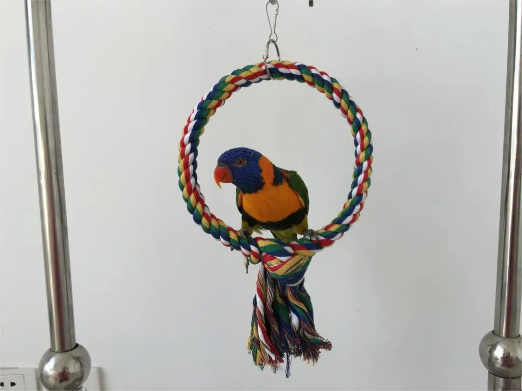 Parrot Bird Cotton Rope Round Ring Climbing Swing Toy Pet Birds Hanging Toys Resistant Parrots Chewing Cotton Rope Toys