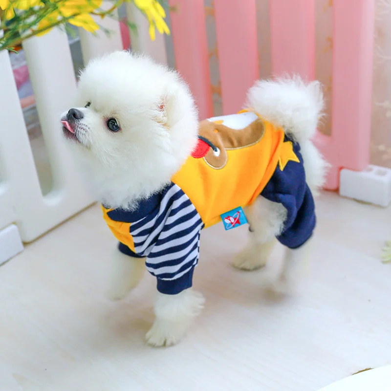 Petcircle Новое поступление одежда для собак кошек зимние пальто с медведем чихуахуа