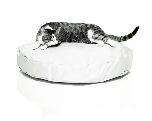 white Кошка beanbag кровати, непромокаемый бобовый мешок pet bean bag lounge - Цвет: white