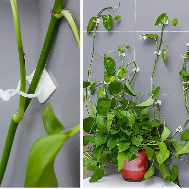 10/30/50PCS Plant Climbing Wall Fastener Tied Fixture Vine Buckle Hook Garden Plant Wall Climbing Vine Clips Fixed Buckle Hook