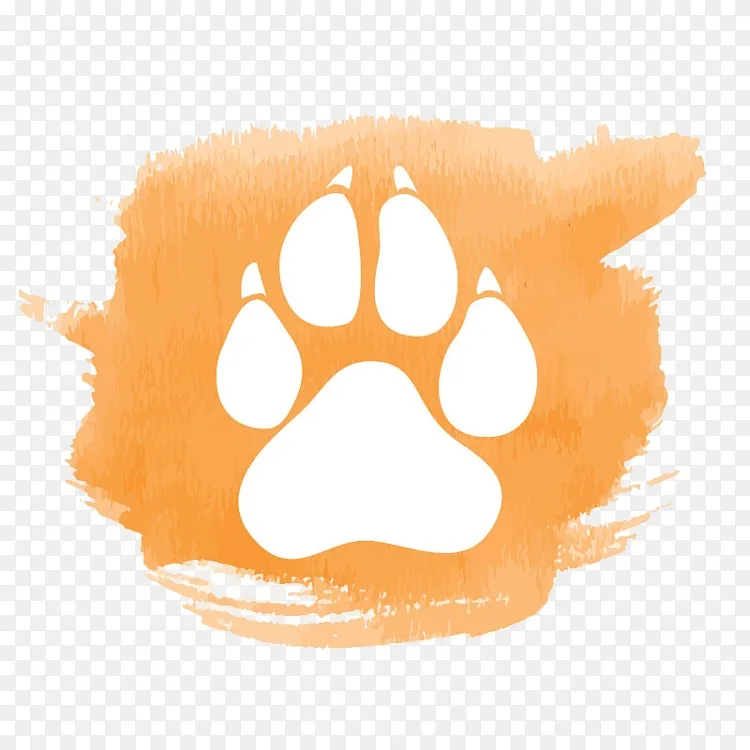猫狗足迹水彩画水彩猫脚印png图片素材免费下载 图片编号 Png素材网