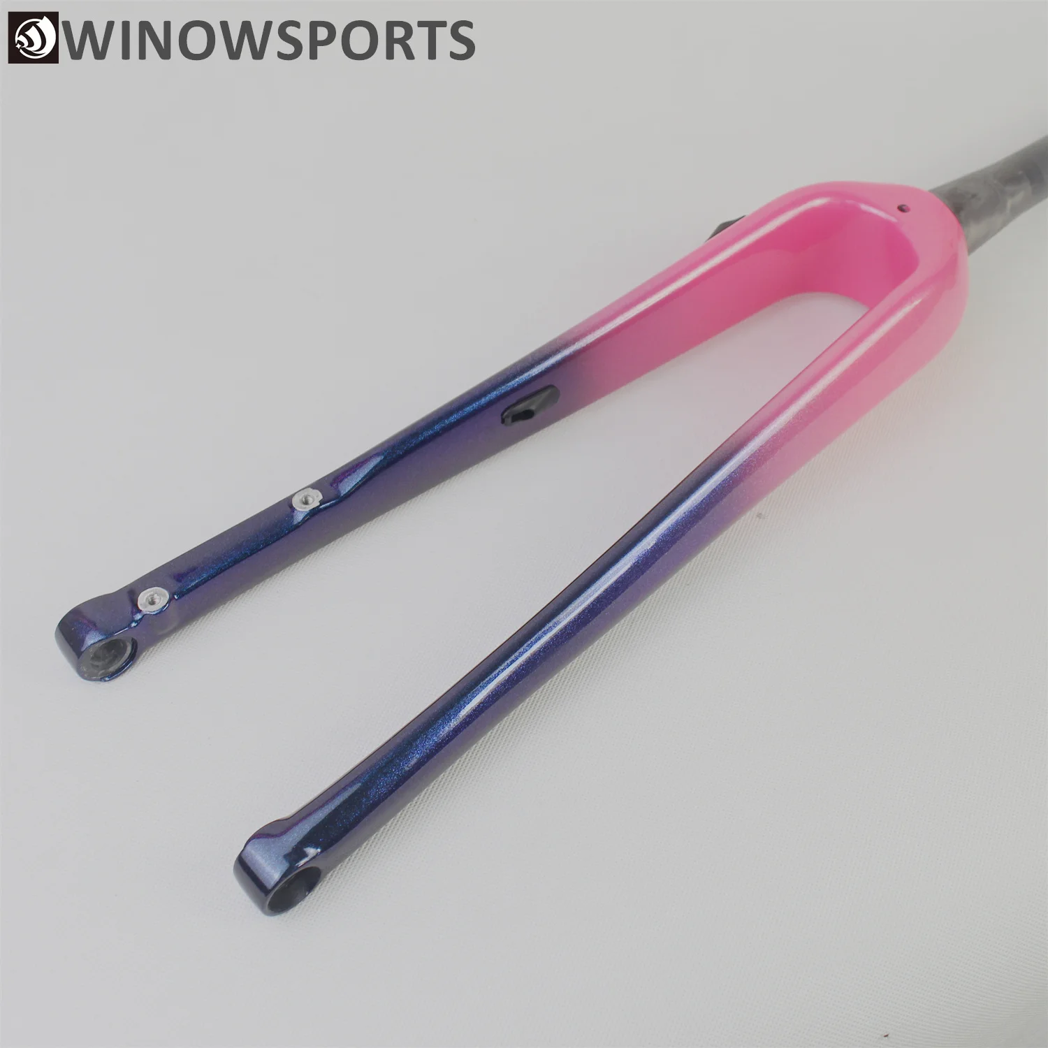 Best Chameleon customs painting carbon fiber gravel bike frame new flat mount disc brakes carbon cyclocross disc brake 700*38c tyres 5