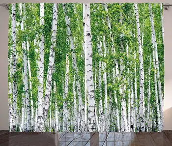 

Birch Tree Curtains Fresh Green Leaves Summer Forest Rural Landscape Lush Environmental Living Room Bedroom Window Home Decor