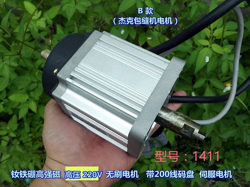 220V DC резистор высокое напряжение высокая NdFeB магнитный бесщеточный мотор сервоприводах(Джек трамвай) мотор