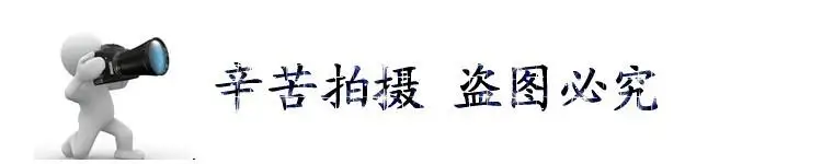 u=2737321559,382165202&fm=26&gp=0