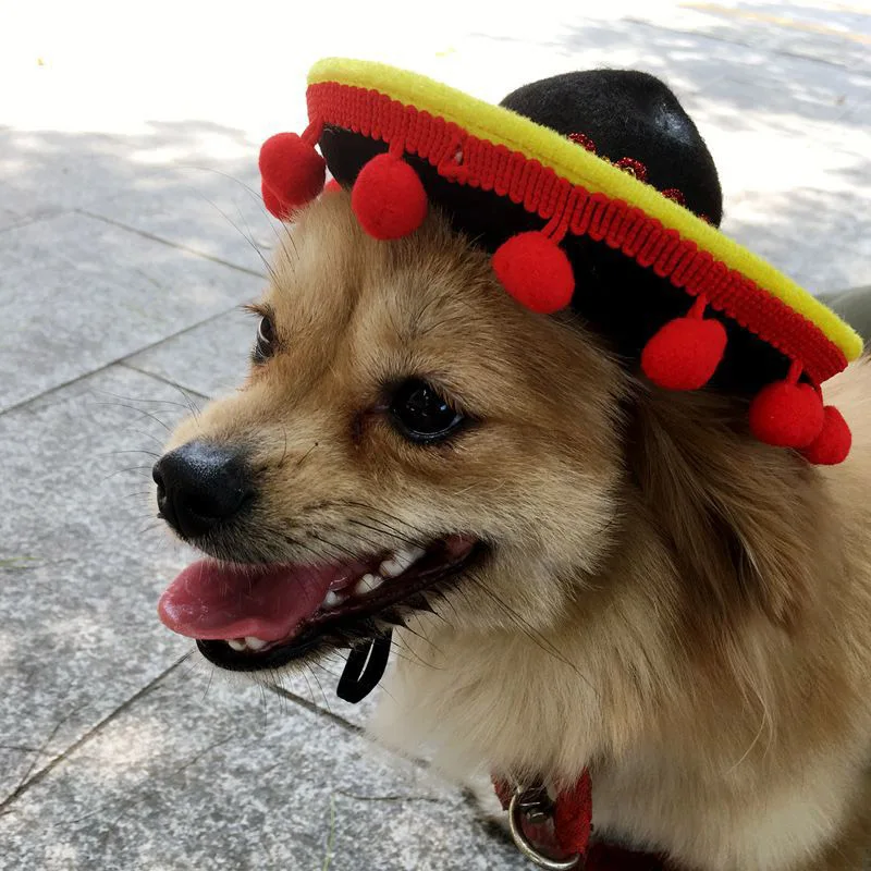 

Mini Pet Mexican Style Cloth Hat Pet Dog Hat Party Hat Pet Supplies