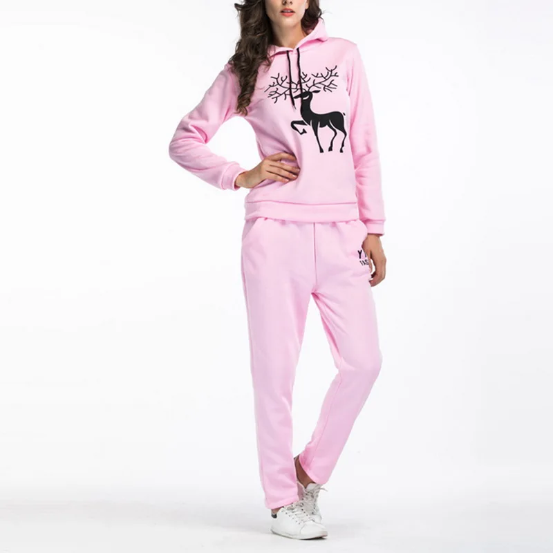 2019 теплый женский спортивный костюм с длинным рукавом полосатый комплект для