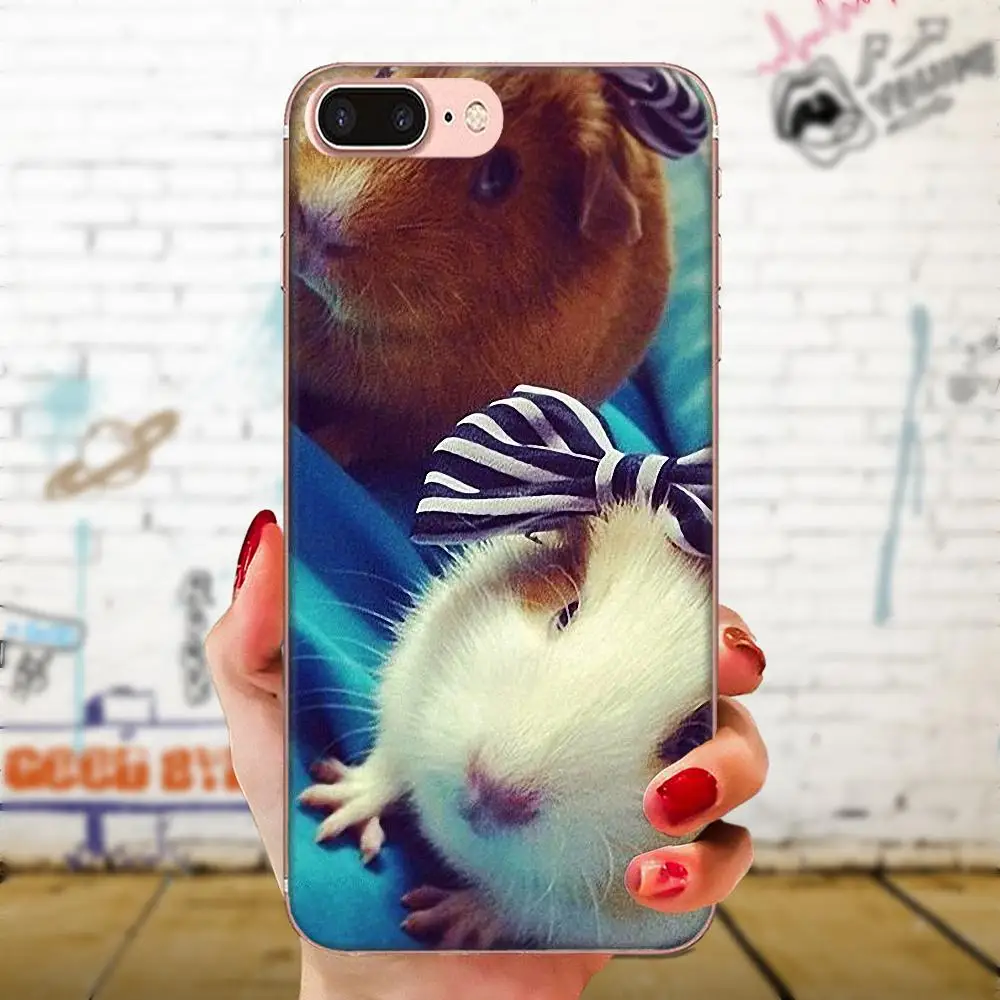 as picture Для Apple iPhone 11 Pro X XS Max XR 4 4s 5 5C 5S SE 6 6S 7 8 Plus прозрачные чехлы из термопластичного полиуретана белка арахис мышь - Цвет: as picture