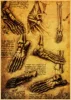 Leonardo da Vinci Manuscript - Vitruvian Man Posters Nostalgic Retro Decorative Painting Core Kraft Paper Vintage poster ► Photo 3/6