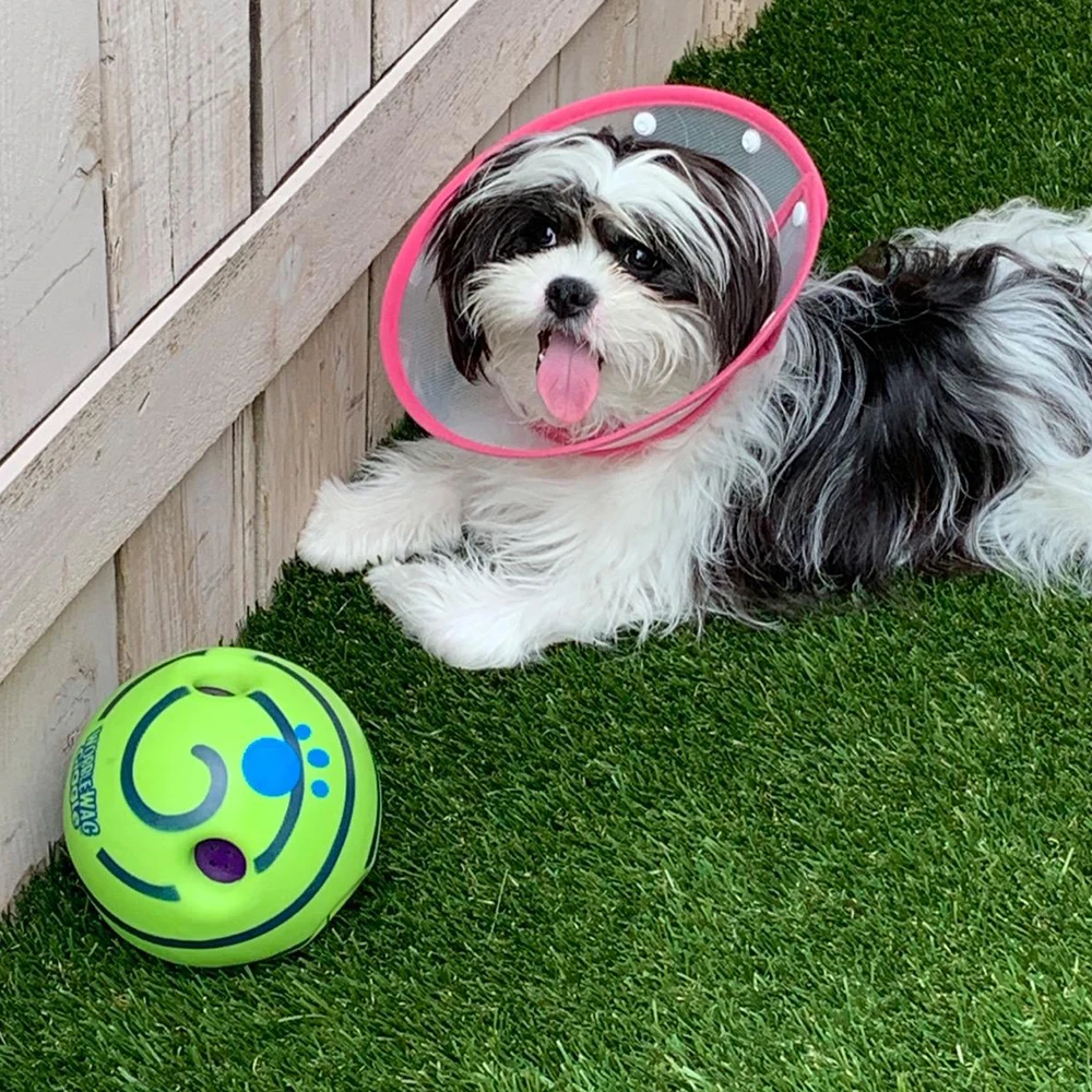 

Dog Toy Fun Giggle Sounds Ball Pet Cat Dog Toys Silicone Jumping Interactive Toy Training Ball For Small Large Dogs Pet Products