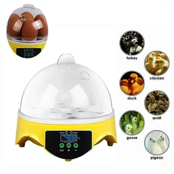 

Honhill Automatic Hatchery Incubator Temperature Display Farm Egg Incubator Hatching Chicken Duck Bird Pigeon Quail Brooder