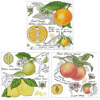 

Shadow Fruit Series patterns Counted Cross Stitch 11CT 14CT18CT DIY Chinese Cross Stitch Kit Embroidery Needlework Sets
