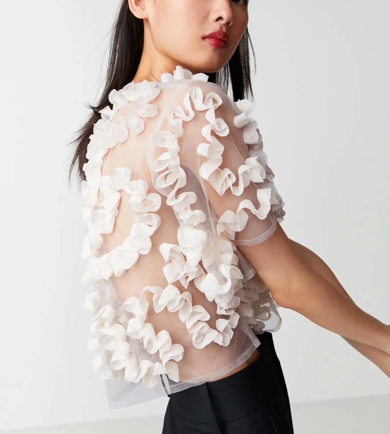 

Textured Tulle Top Women Casual Semi-sheer Top With Round Neck and Short Sleeves Matching textured Blouses For Girls