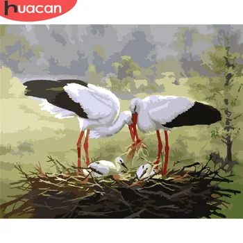 

HUACAN Oil Painting By Number Bird Hand Painted Paintings Art Drawing On Canvas Gift DIY Pictures By Numbers Animal Home Decor