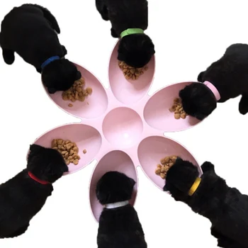 

Pet Bowl for multi 6 in 1 Pet Bowls for Cats Dogs Petal Shape Water Food Feeder Bowls Non-slip Feeding Bowl pets pet supplies