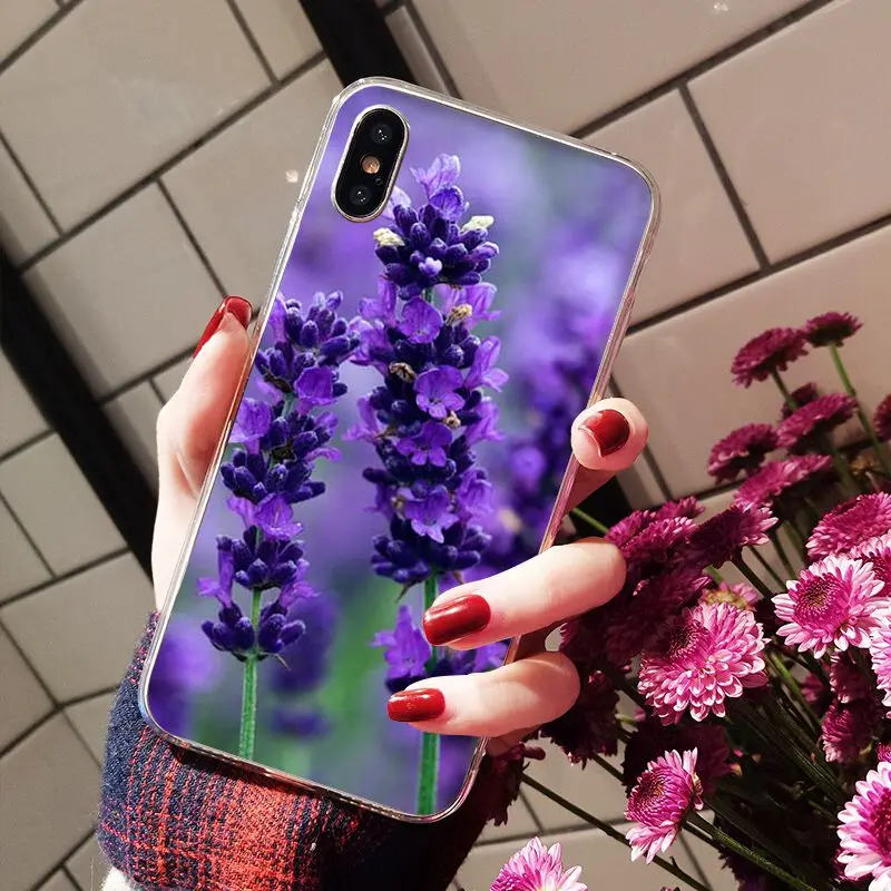 Simple lavender Purple flowers