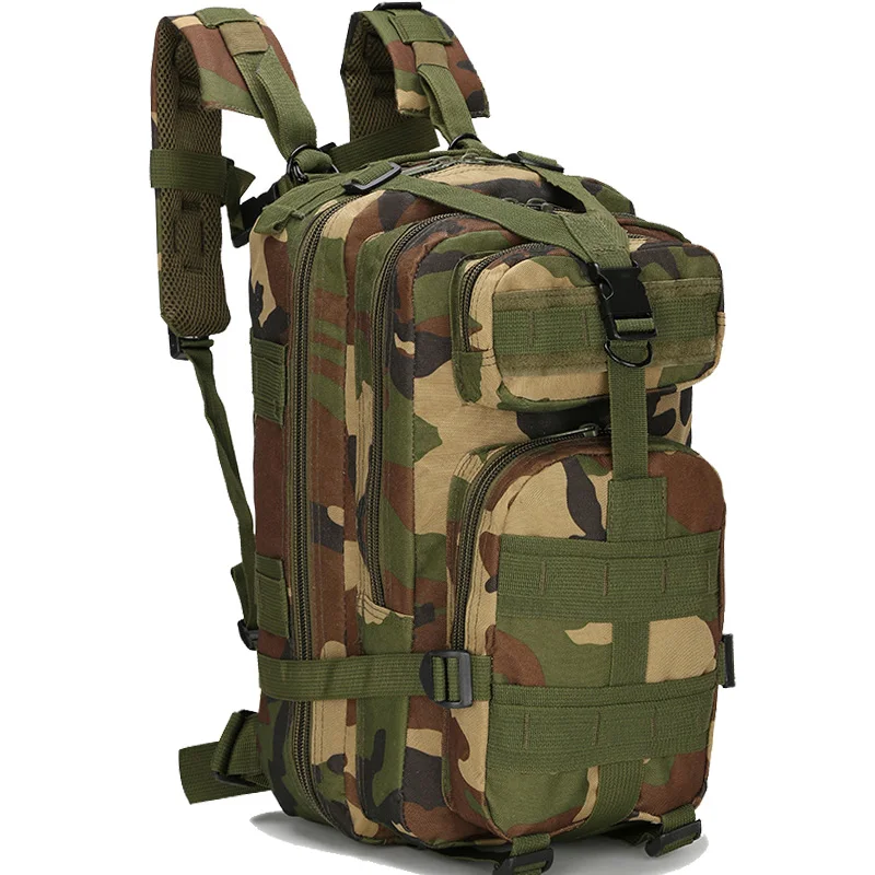 3765195872_2018406136