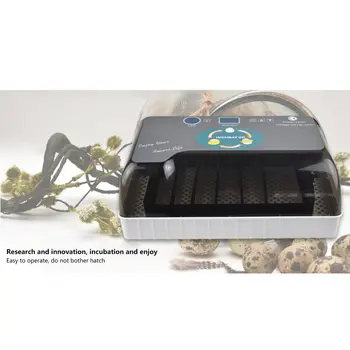 

Home Incubator with LED Lighting 12 Egg Automatic Incubator Chicken Duck Goose Bird Hatcher Animal Husbandry