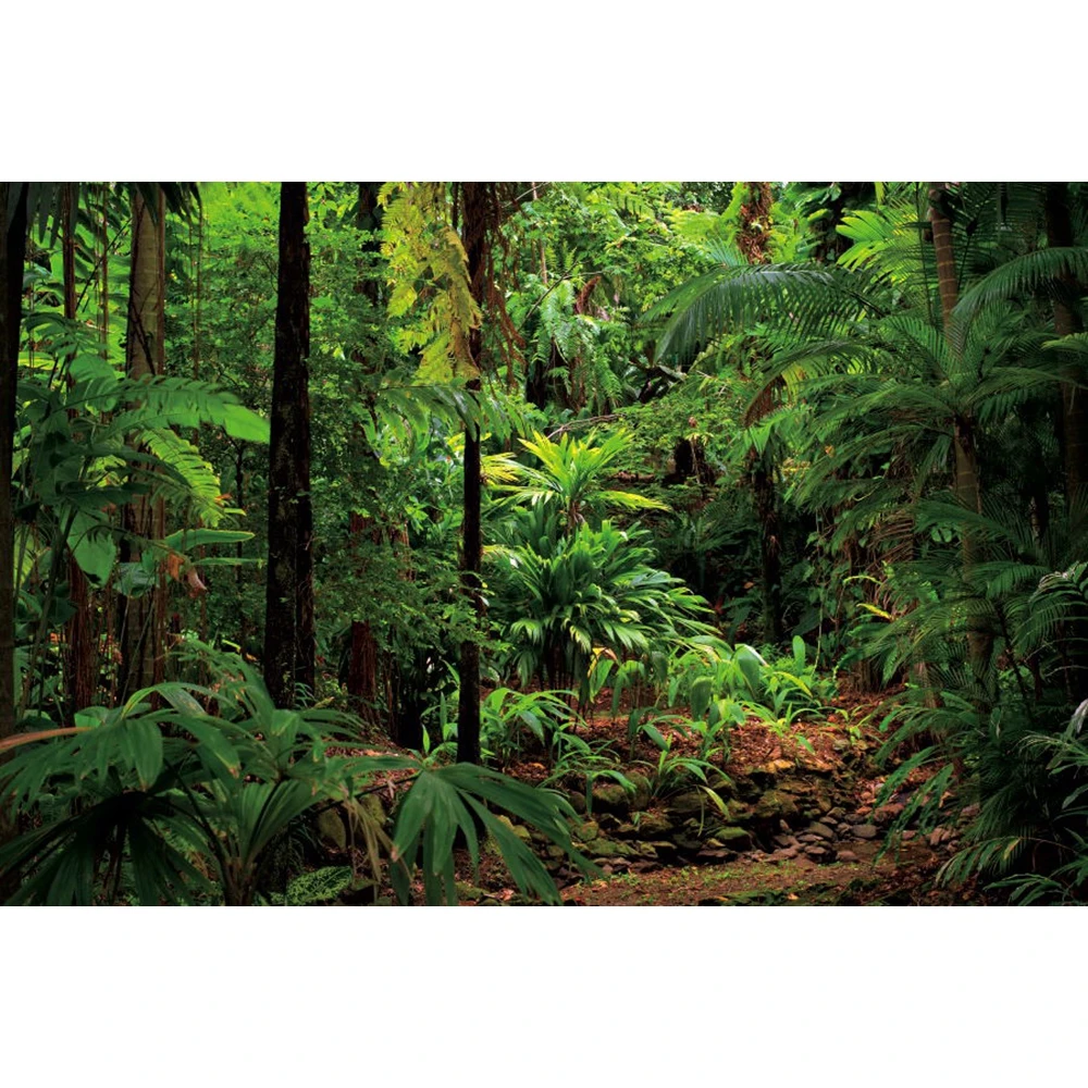 Fondo-de-fotograf-a-de-vinilo-para-estudio-fotogr-fico-tel-n-de