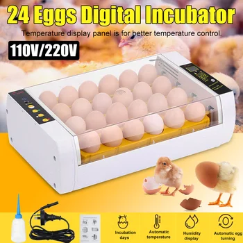 

Best 24 Chicken Egg Incubator Automatic Hatcher Poultry Digital Control Hatchery Machine 110V /220V Duck Quail Farm Brooder