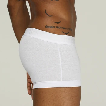 

CMENIN Mesh Sexy Underwear Men Boxer Shorts Mens Cotton Male Boxershorts OR210 Breathable Soild Male Panties Breathable Long