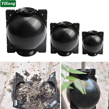 

Plant Rooting Ball Plants Grafting Growing Box Device Plant Rooting Breeding Case Garden Roses Fruit Trees 5/8/12cm Diameter