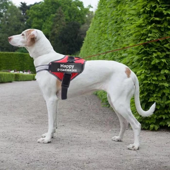 

Dog Harness NO PULL Reflective Breathable Adjustable Personalized Pet Harness with ID Custom Patch Outdoor Walking Dog Supplies