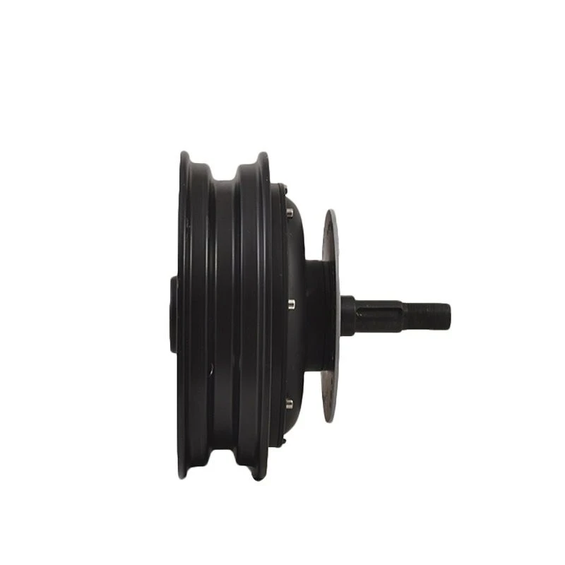 10inch 1000W Single Shaft In Wheel Hub Motormotor motormotor