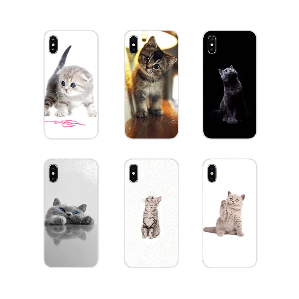 For Samsung A10 A30 A40 A50 A60 A70 Galaxy S2 Note 2 3 Grand Core Prime Animal Gray Cat British Bobtail Accessories Cases Covers | Мобильные