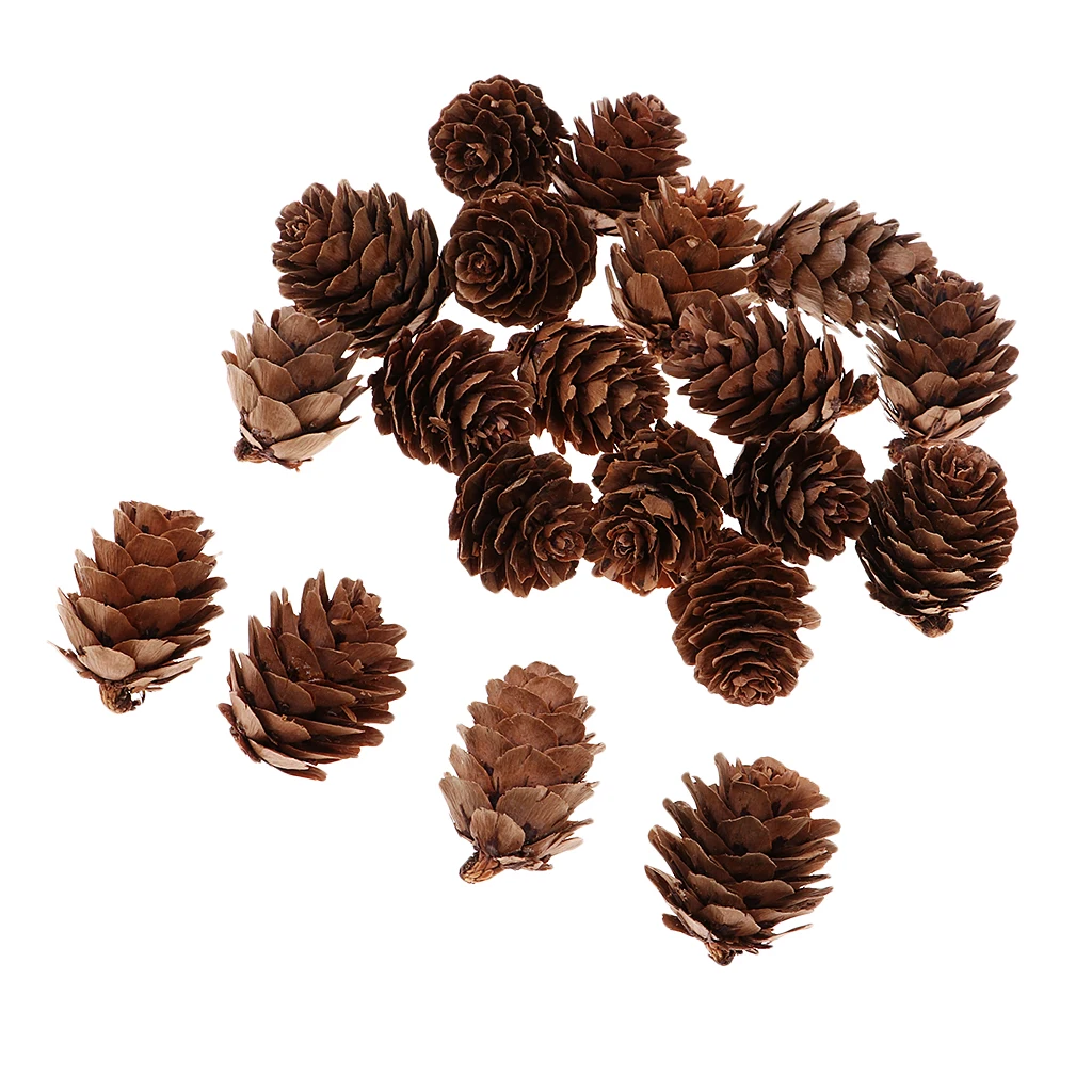 20pcs 2.5x3cm Small Pine cones Decorative Pine Cones Festival Vase Filler Snow White Christmas Tree pendants 