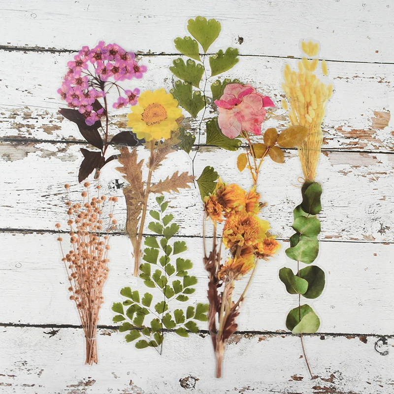 

Large Dried Flower Leaves Plants Design Stickers Transparent PET Journal Decorative Sticker Diary Stationery Album Scrapbooking