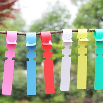 

100 Pcs Plant Tags Garden Nursery Label Hanging Tree Markers Seedling Plant Fruit Trees Signs Prompt Card Classification Tool