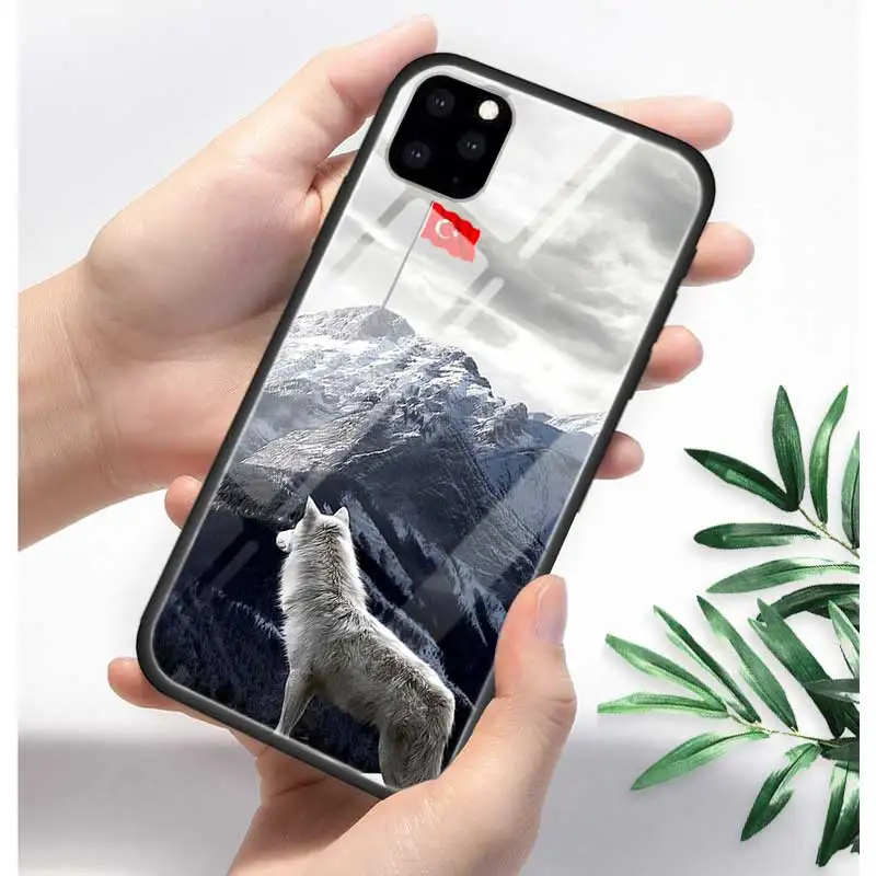 Турция турецкий чехол с флагом для Apple iphone 11 Pro XR XS Max X 7 8 6 6S Plus закаленное стекло+ черный силиконовый чехол для телефона Coque Sac