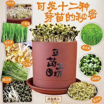 

[Large Put Price] Earthenware Clay Bean Sprouts Tank Large-Volume Bean Sprouting Basin Machine Household Non-Fully Automatic