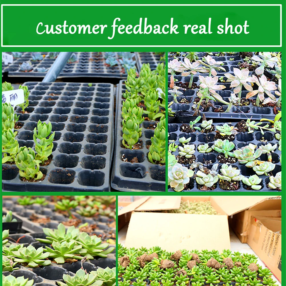 QUALITY Pot /& Seed Cutting Tray Plant Starting Seedling Garden Nursery Pots x 40