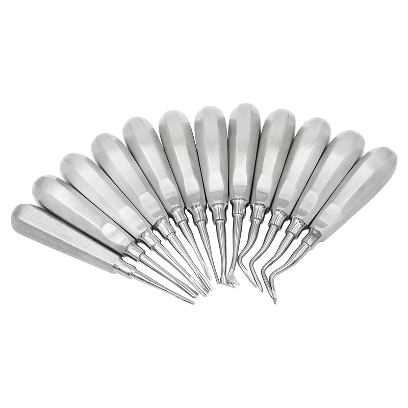 Contrangolo Dentista Set Di 6 Elevatori Dentali Per Chirurgia Orale - Punta Radice Concava, Acciaio Inox CE Coppia Conica Decespugliatore 9 Denti