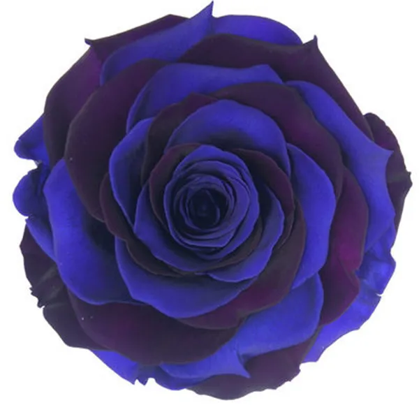 1 (9)