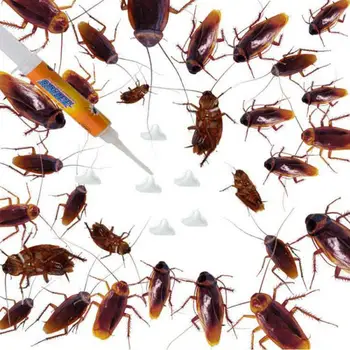 

10g Cockroach Bait Drug Poison Nest Genuine Syrine Powerful Anti Cockroach Eliminator Cockroach Glue Insecticide Cockroach Trap