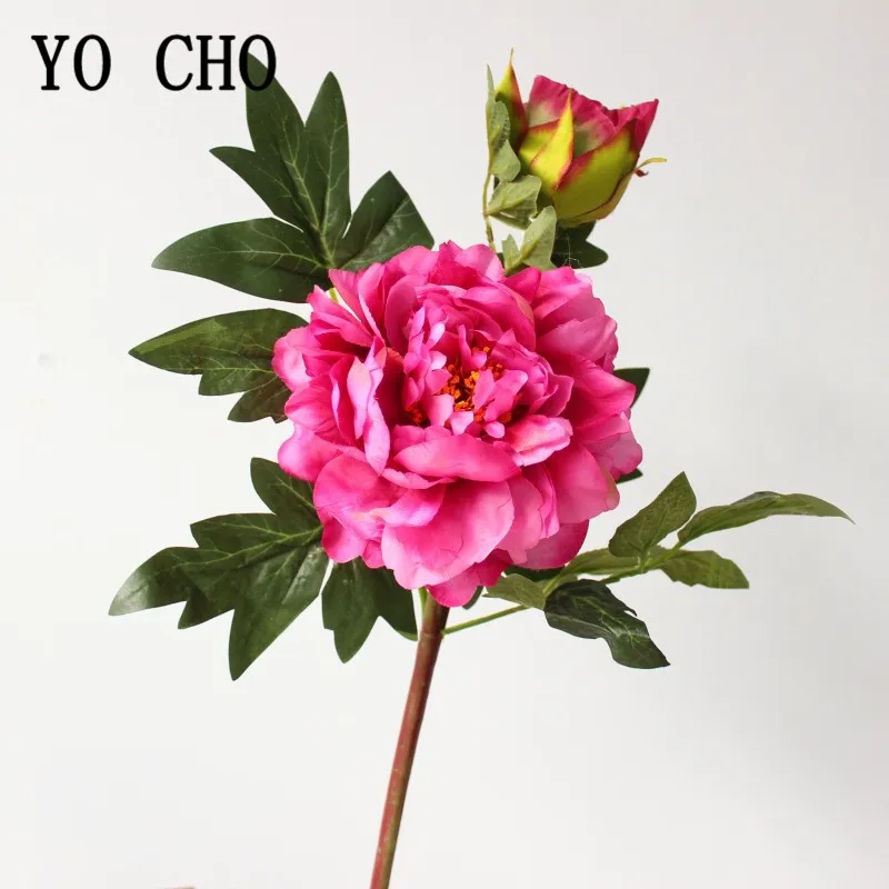 10783158715_2132096240