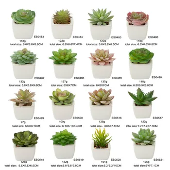 

Artificial Succulent Pant Bonsai Ceramic Potted Plant Artificial Plant Decoration Potted Cactus Fleshy Artificial Flower Bonsai