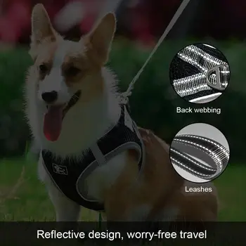 

Dogs Chest Strap Mesh Dog Walking Lash Breathable Dog Lash